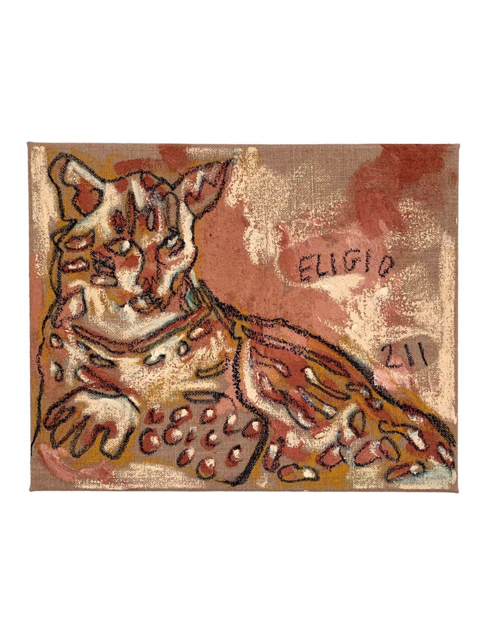 Eligio 211