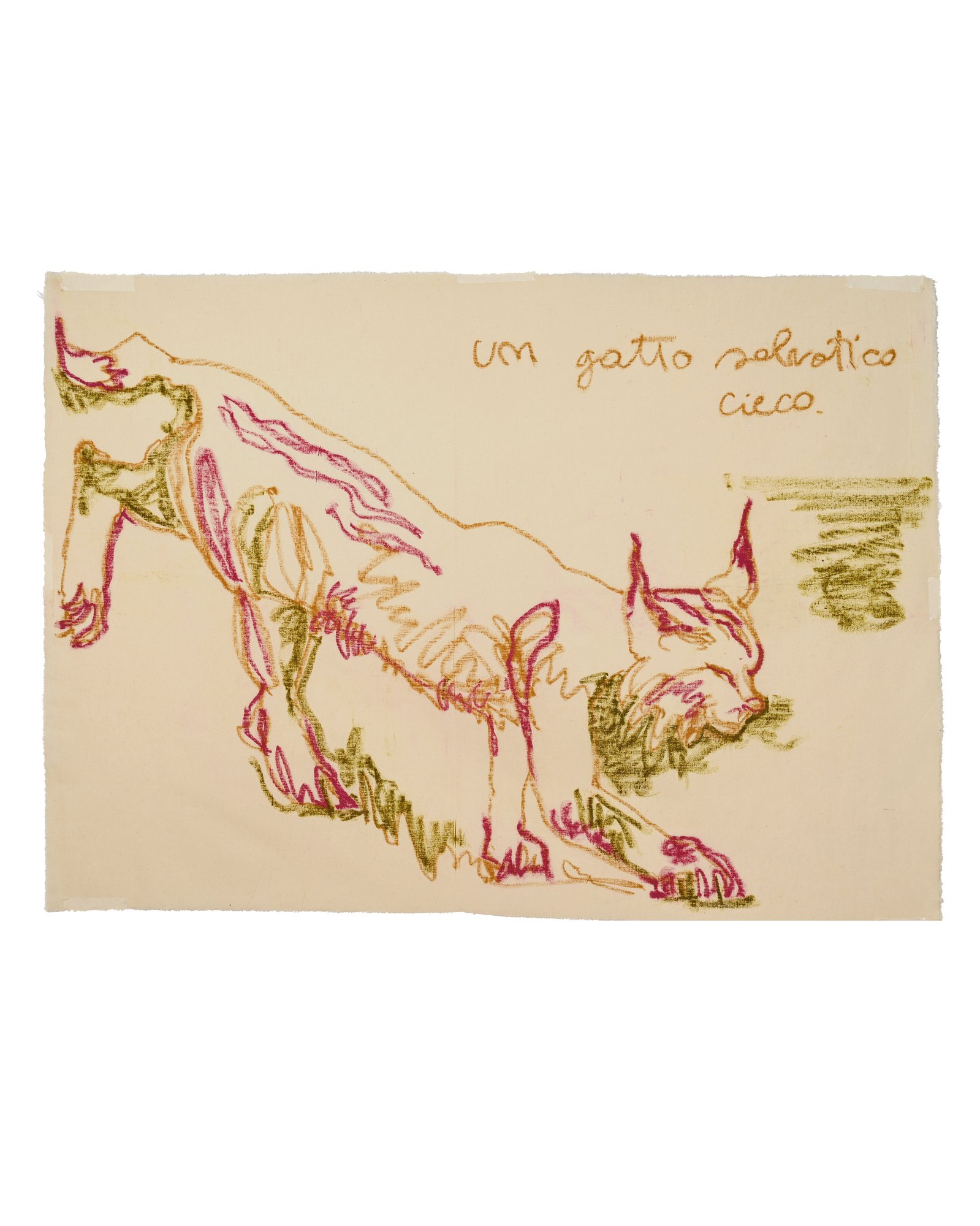 Gatto