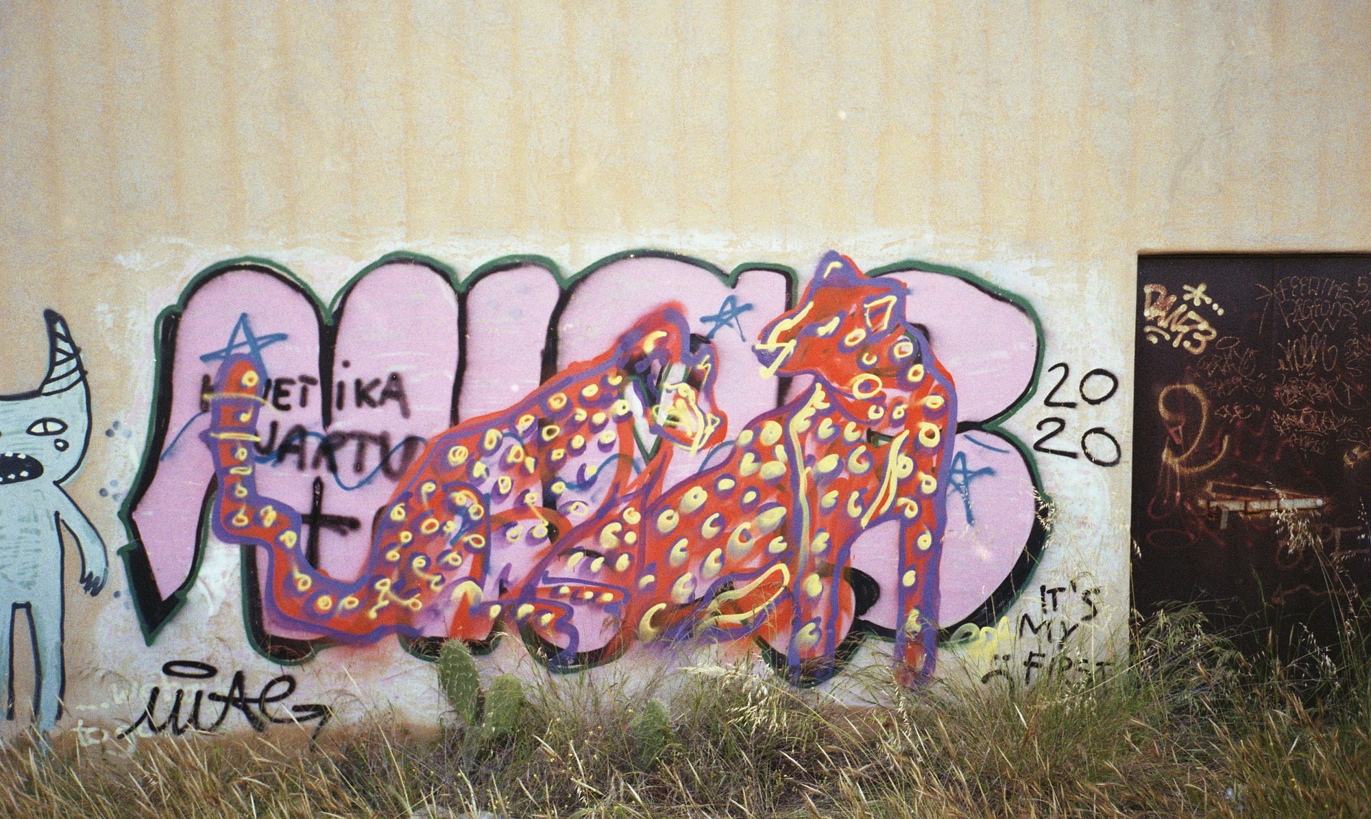 Ghepardi